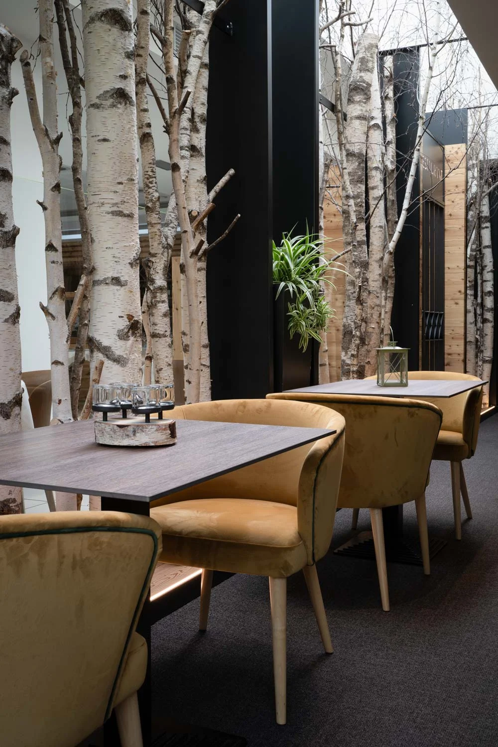 AlpHoliday Dolomiti Wellness Family Hotel Val di Sole Dimaro Trento neues Königsrestaurant