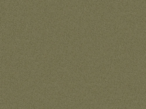 Scoty – Olivgrün