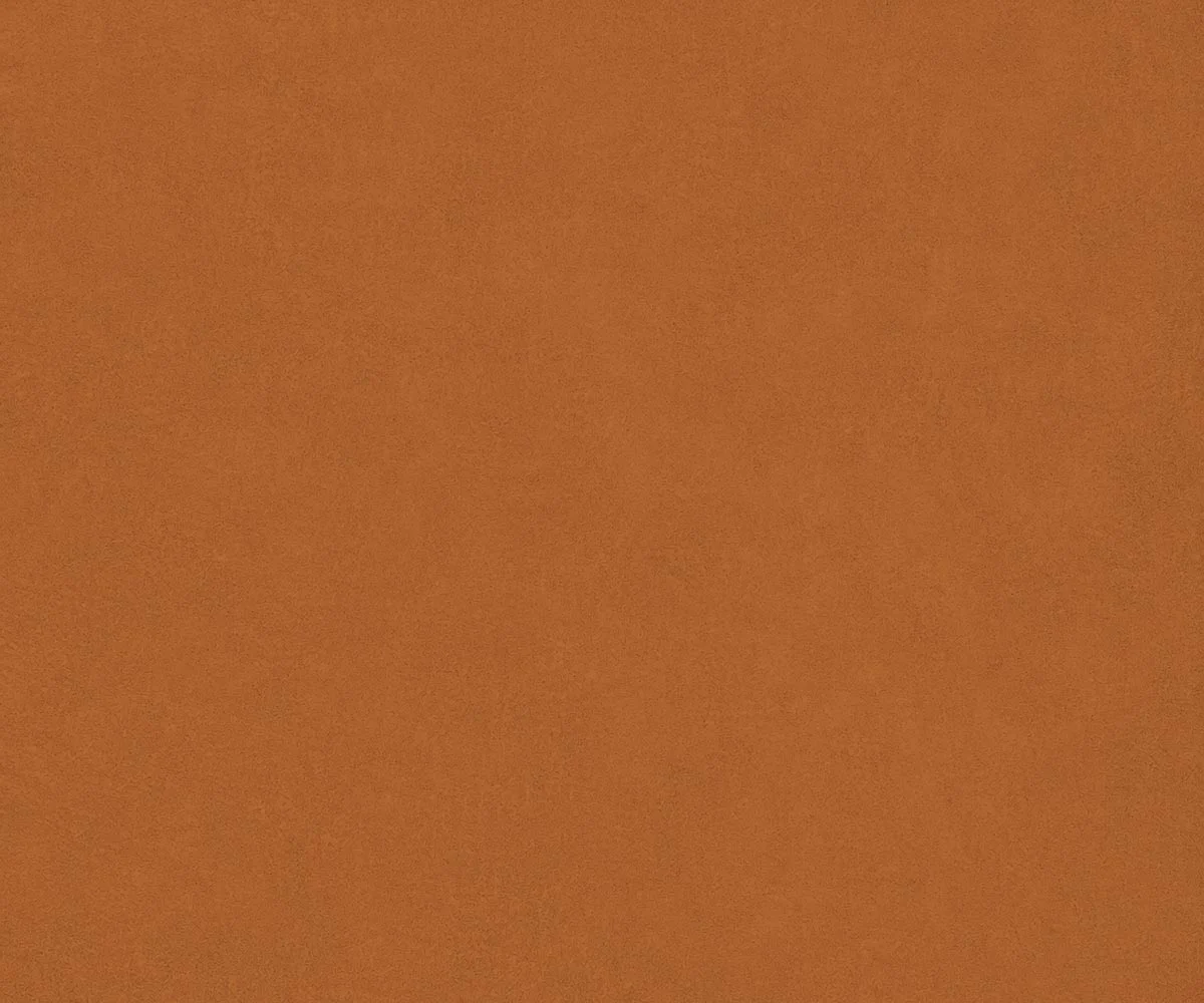 Econabuk — Ochre