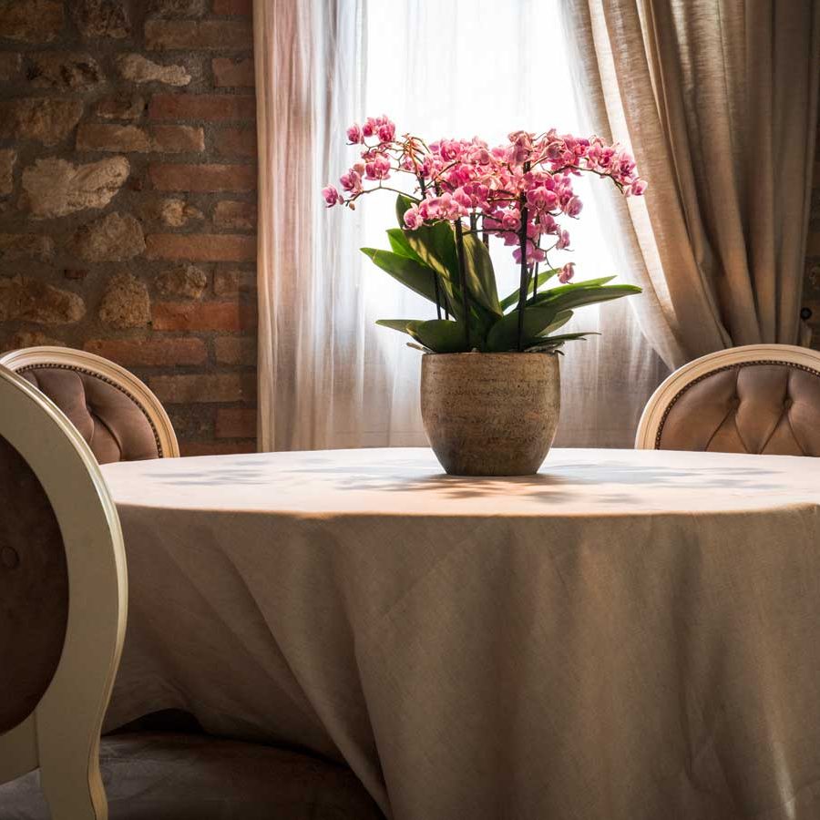 Vo' euganeo ristorante dal contadino