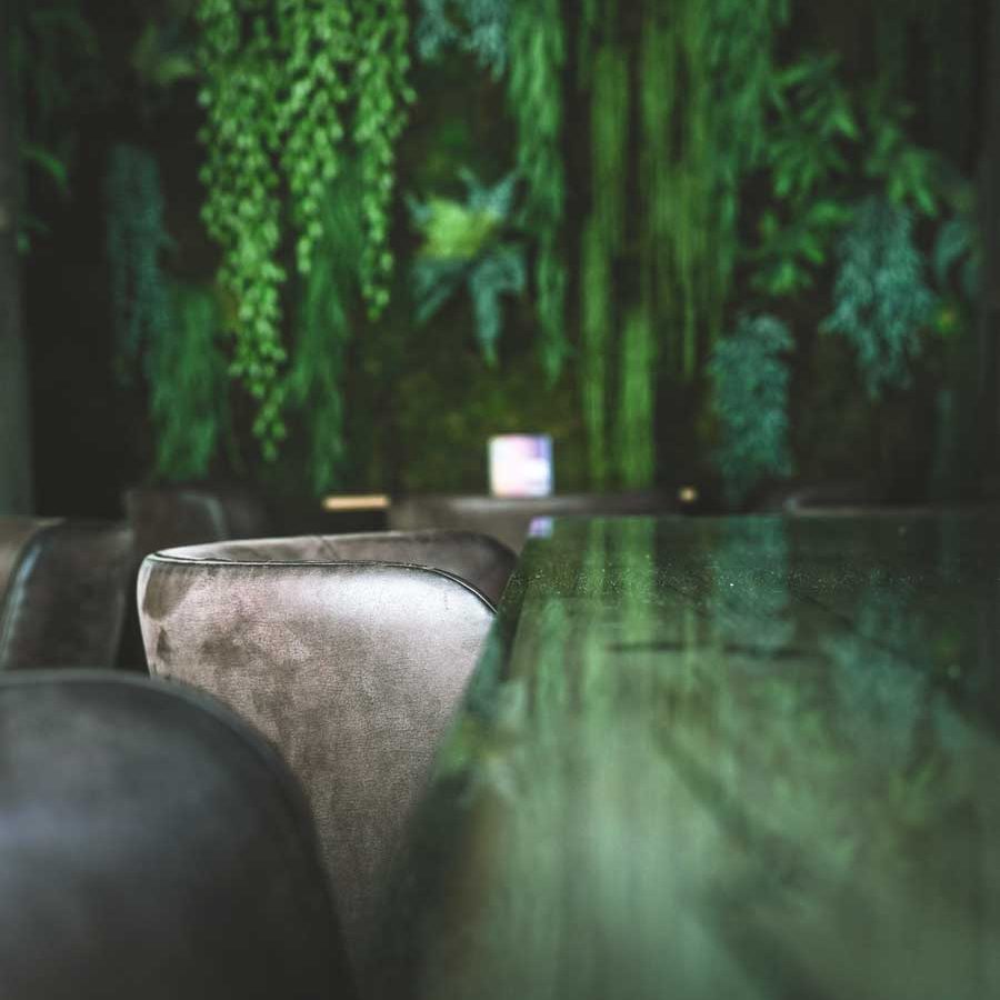 ristorante radici a padova premiato per cucina gourmet con arredamento moderno