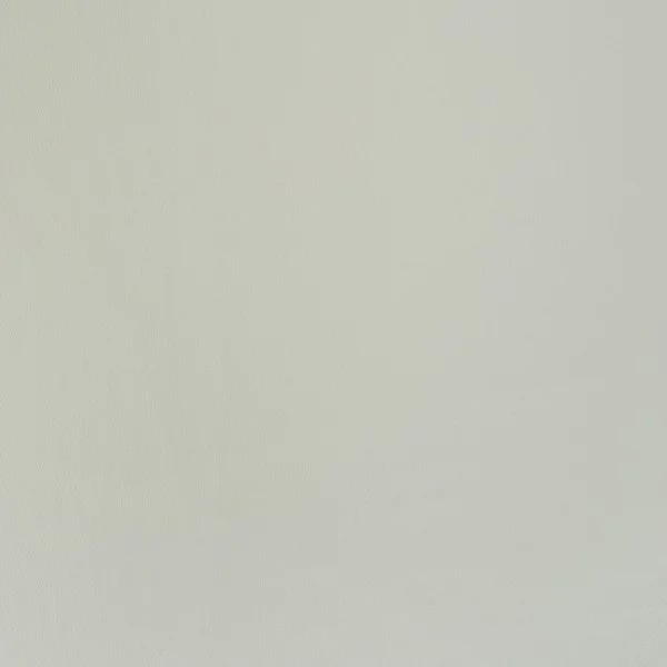 Eco-leather — Light grey