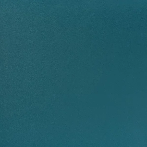 Ecopelle — Petrolio