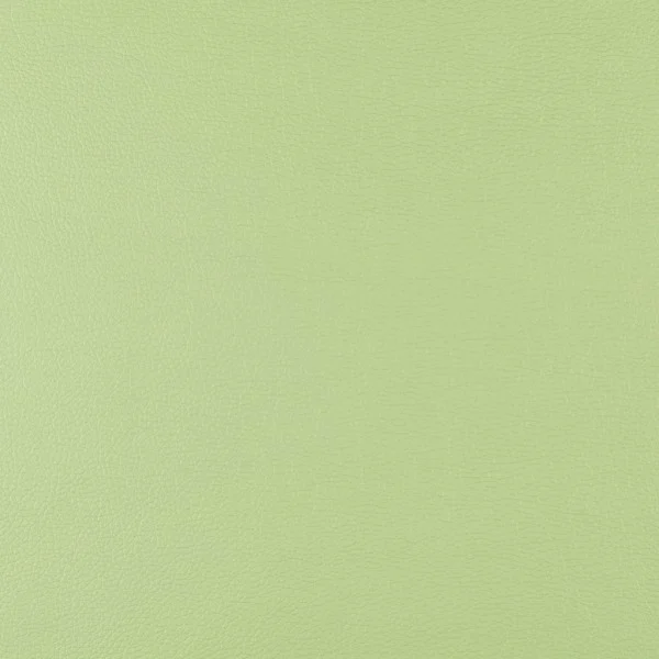 Eco-leather — Green