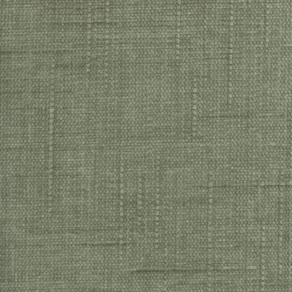 Lineus — Sage